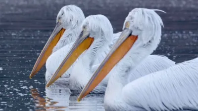 thumbnail - S1:E4 Greece