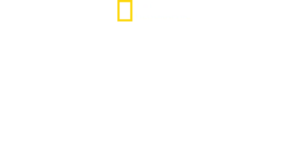 徹底解剖！空飛ぶ要塞 エアフォースワン