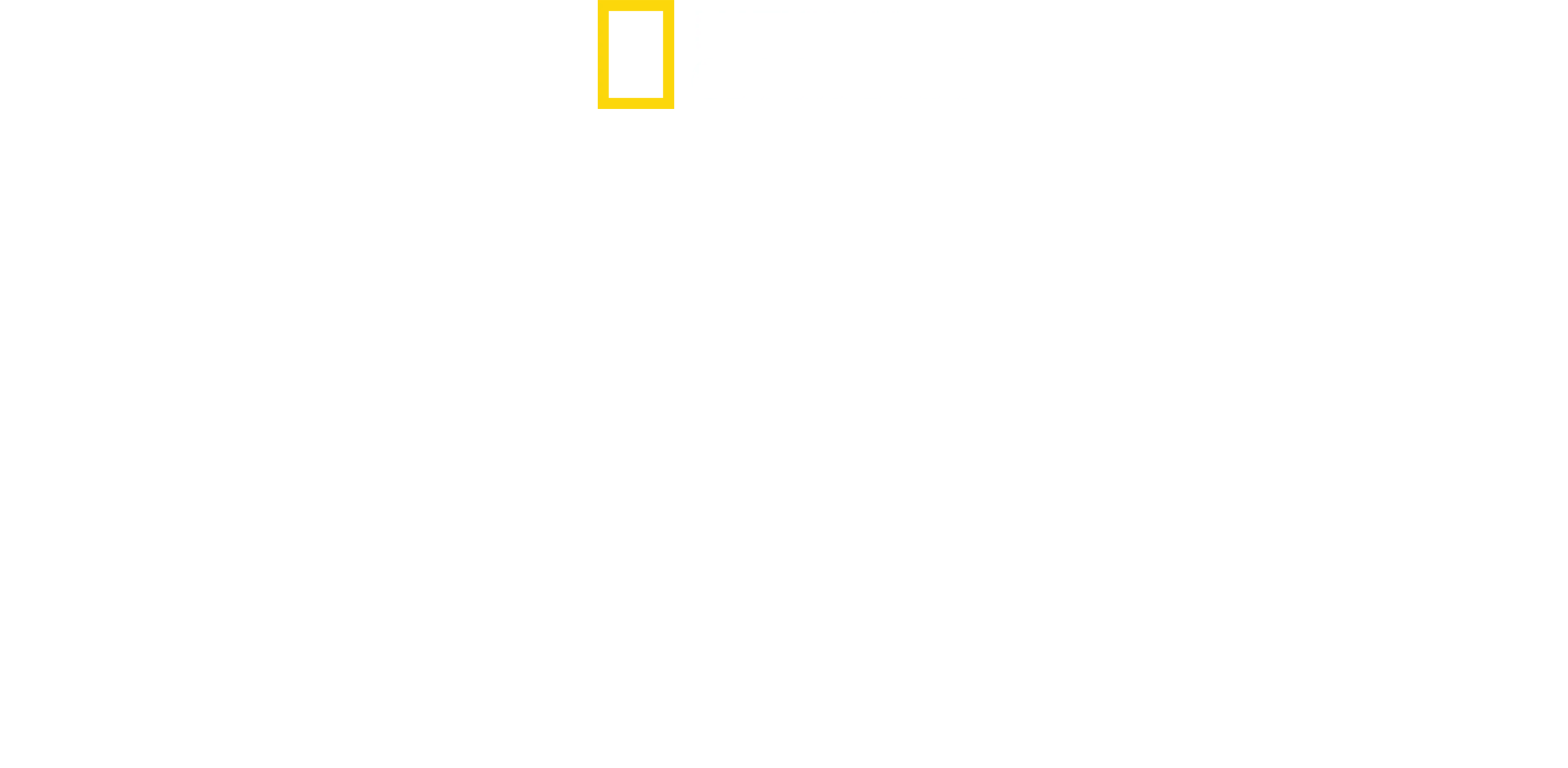 徹底解剖！空飛ぶ要塞 エアフォースワン