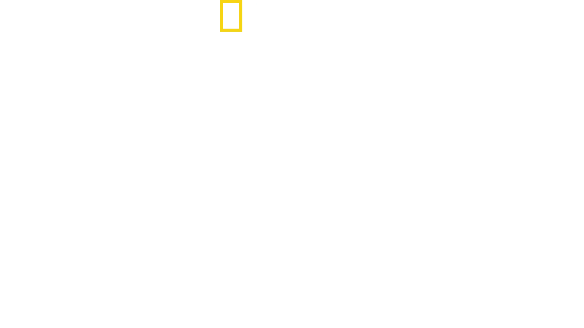 Made in a Day
