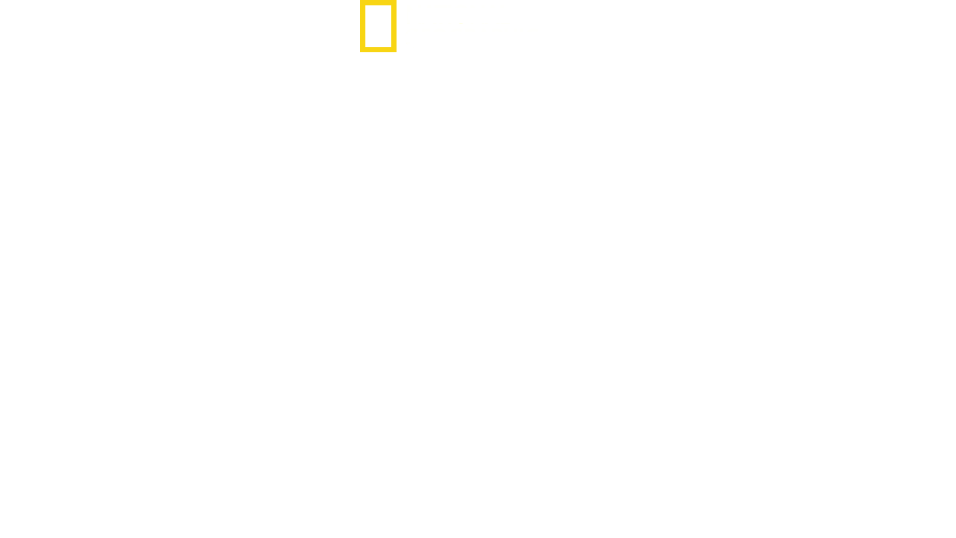 Made In A Day