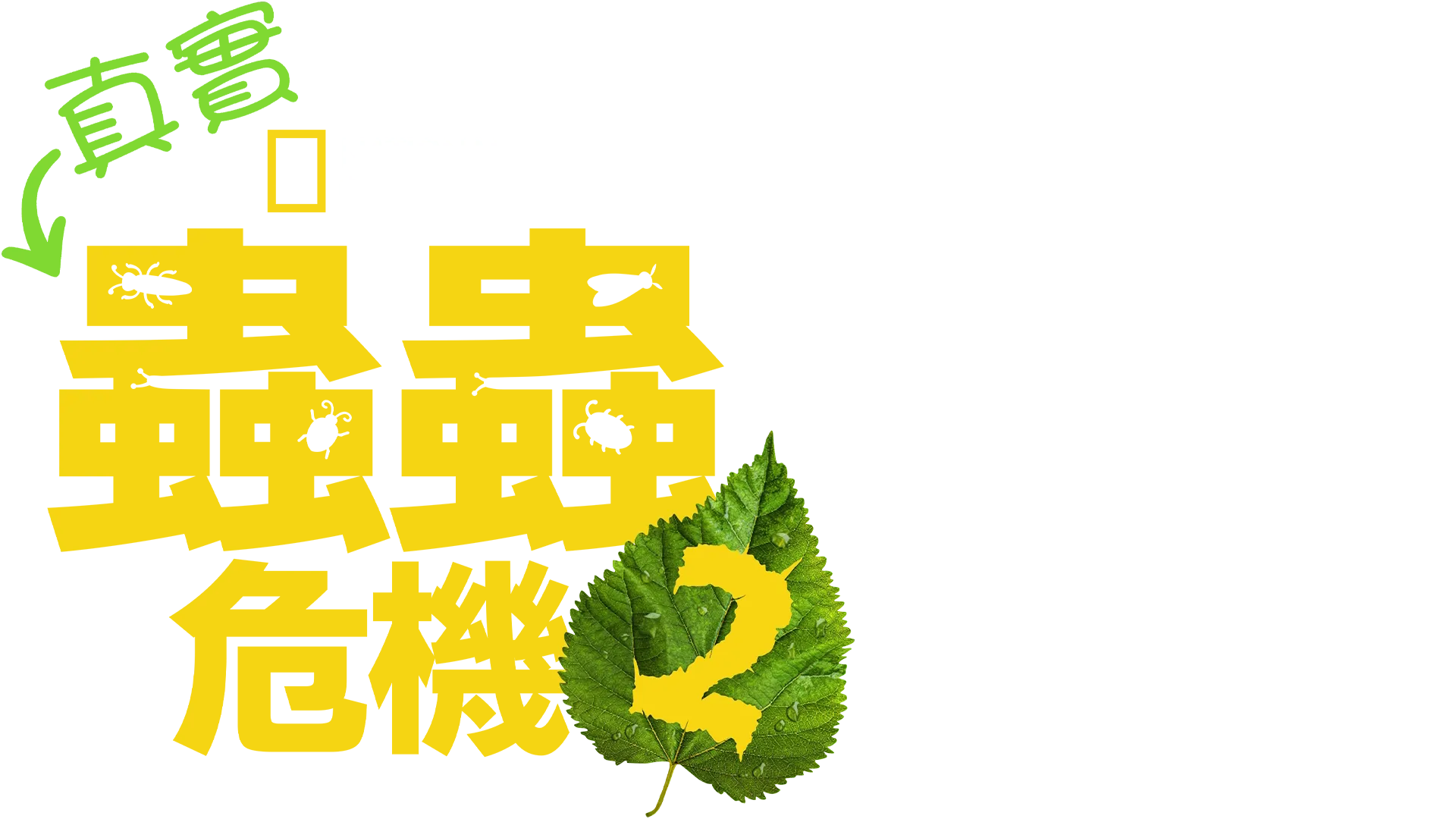 真實蟲蟲危機