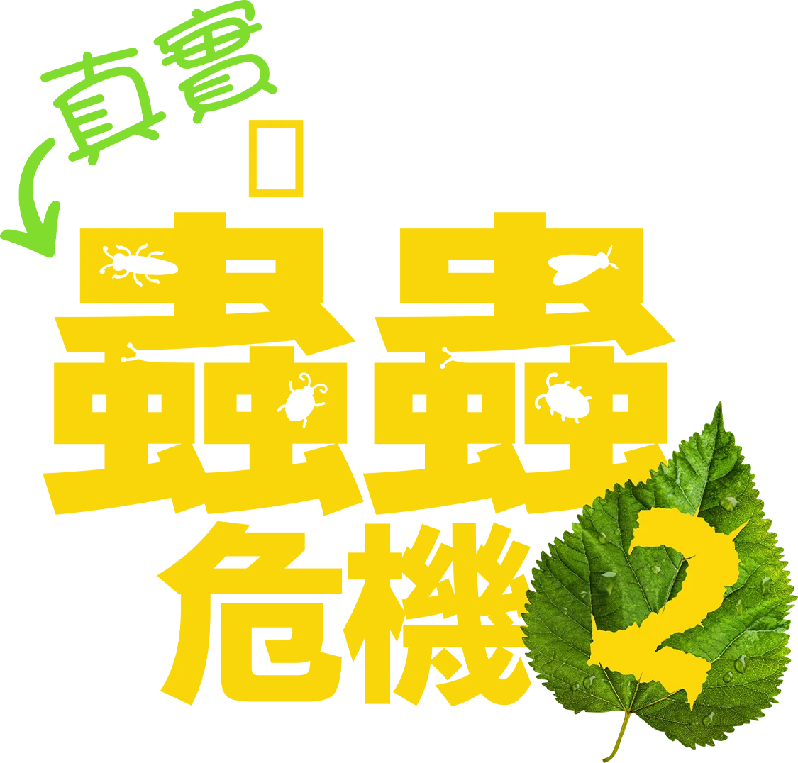 真實蟲蟲危機