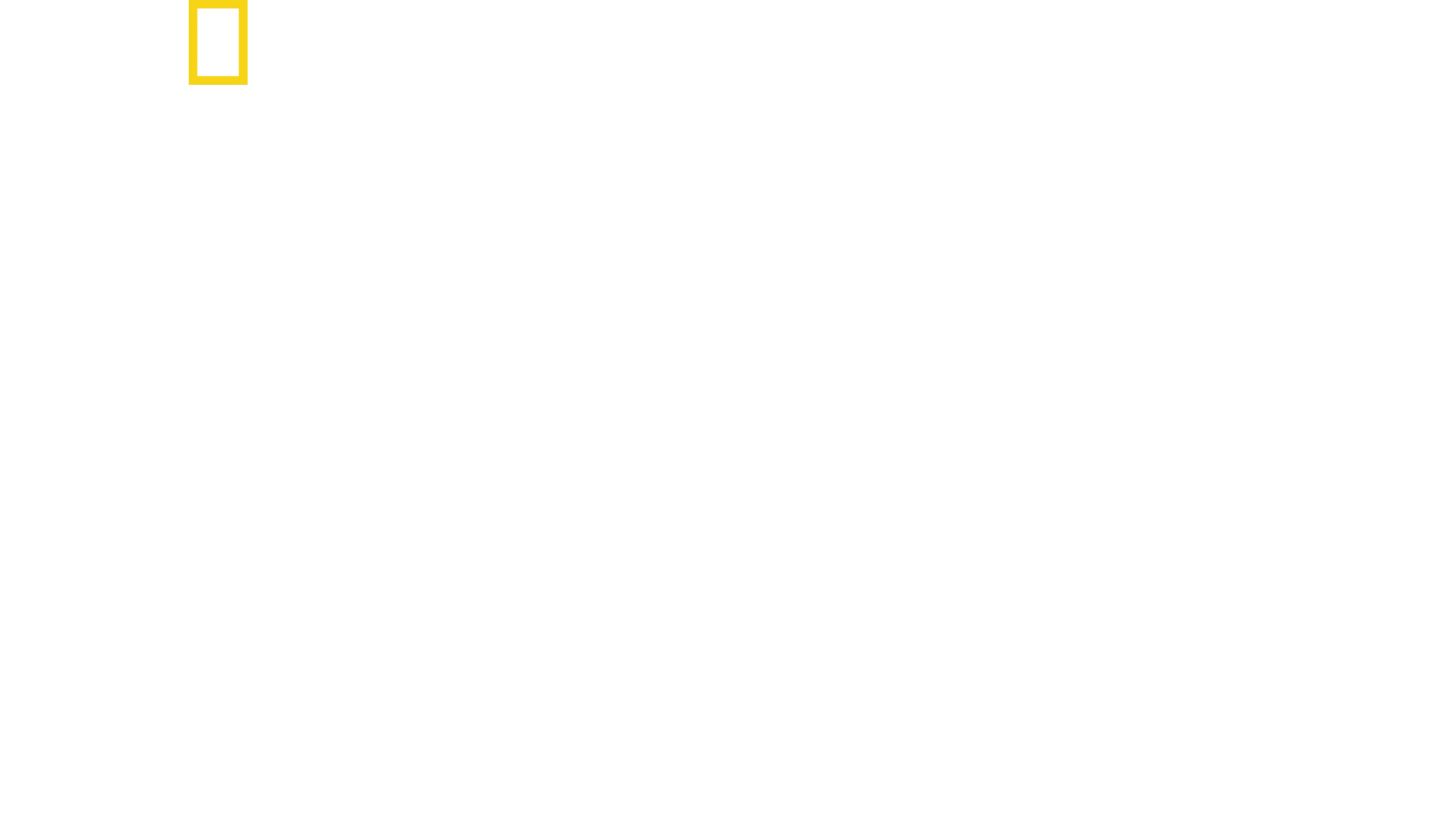 野性黃石公園