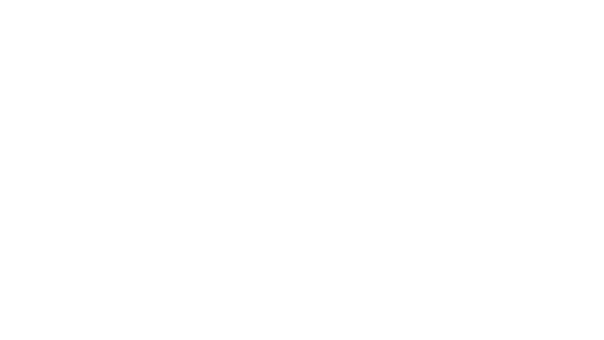 The Mountain Between Us