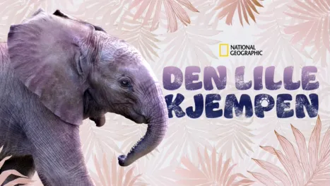 thumbnail - Den lille kjempen
