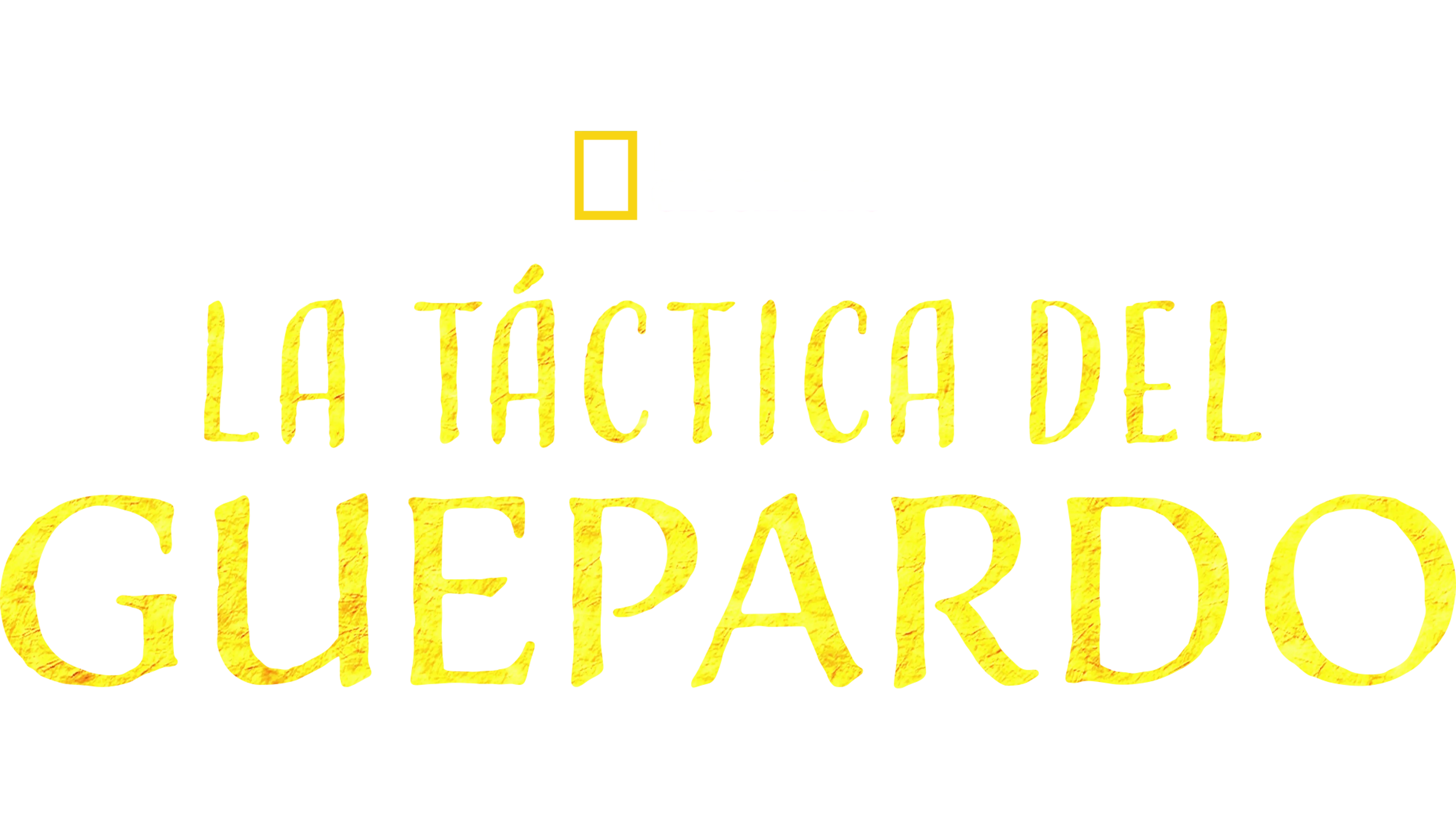 La táctica del guepardo