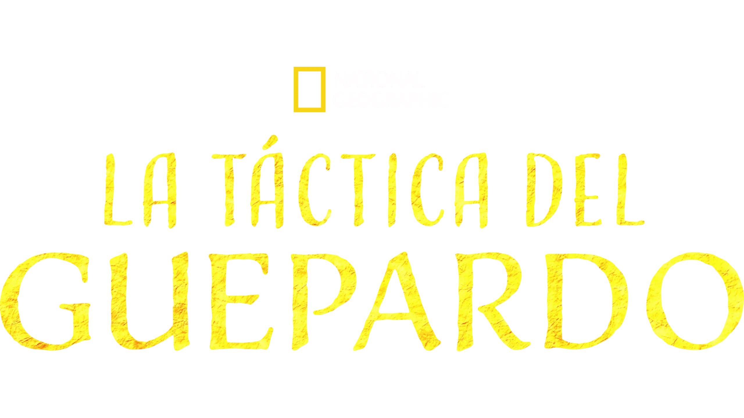 La táctica del guepardo