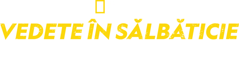 Vedete în sălbăticie, cu Bear Grylls