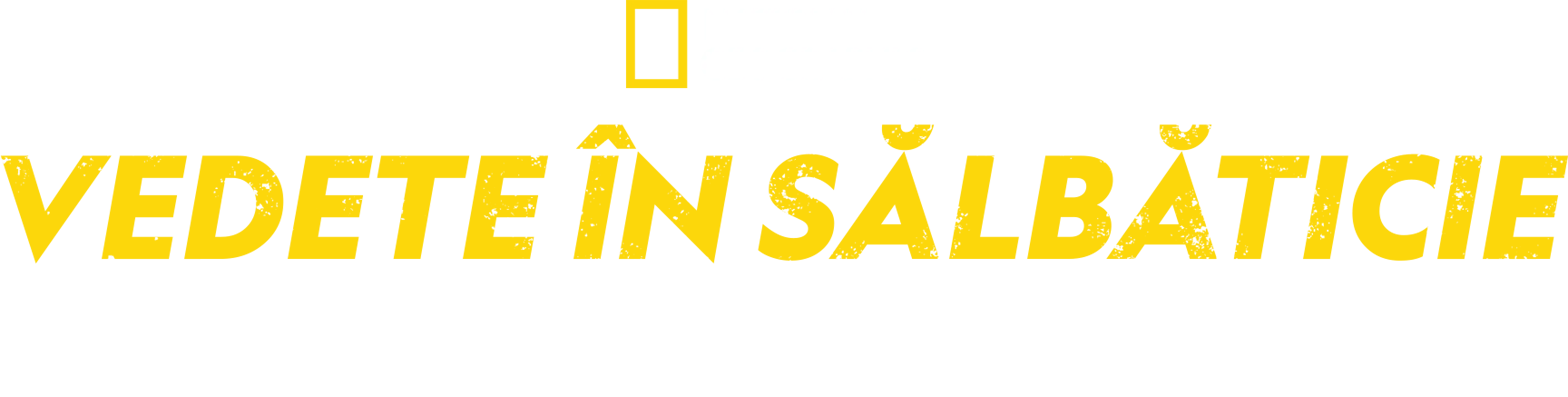 Vedete în sălbăticie, cu Bear Grylls