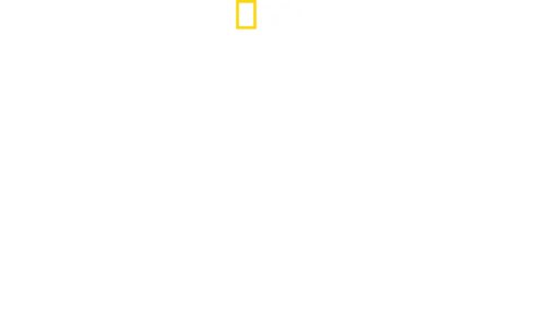 Verdens farligste slanger