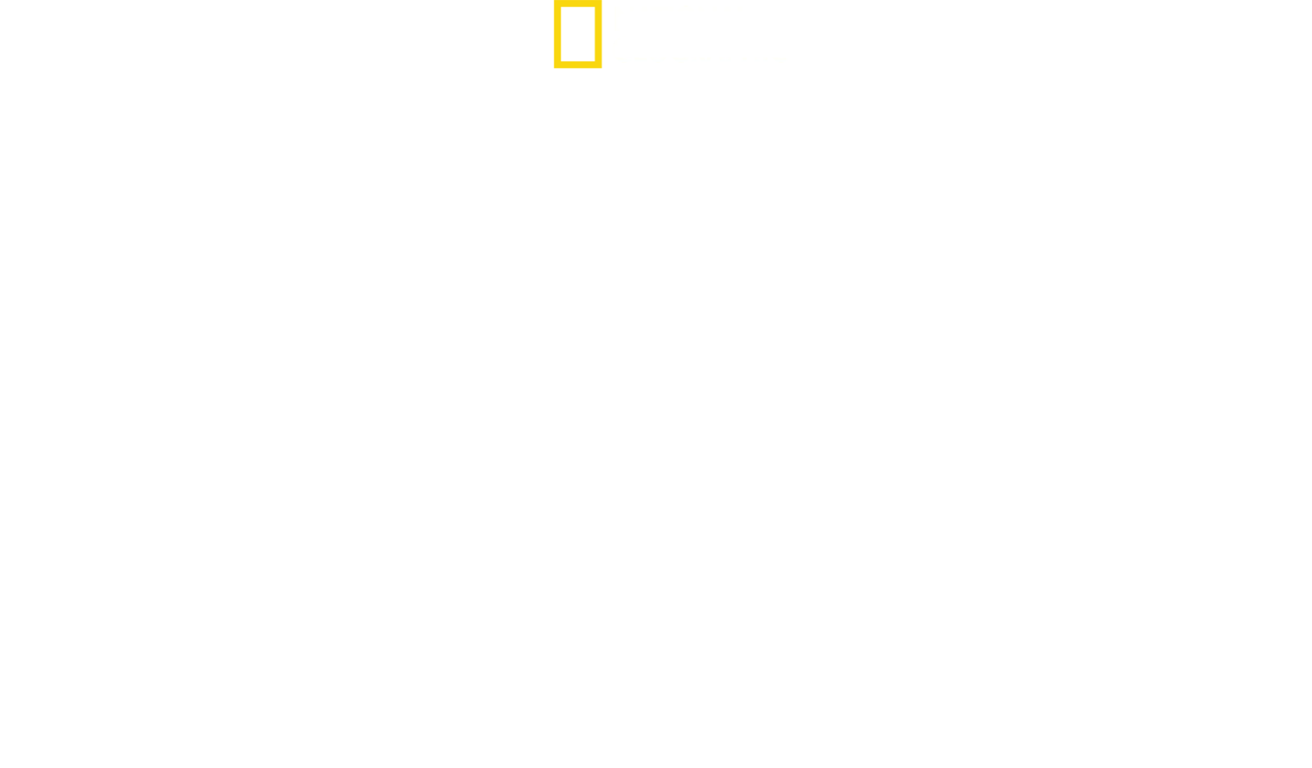 Verdens farligste slanger