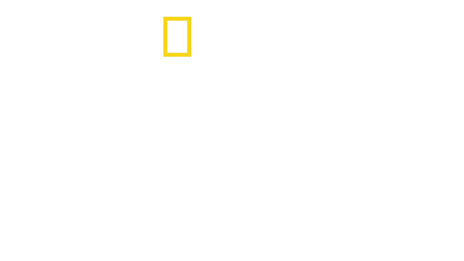 Γεύσεις από σπίτι με τον Άντονι Πορόφσκι