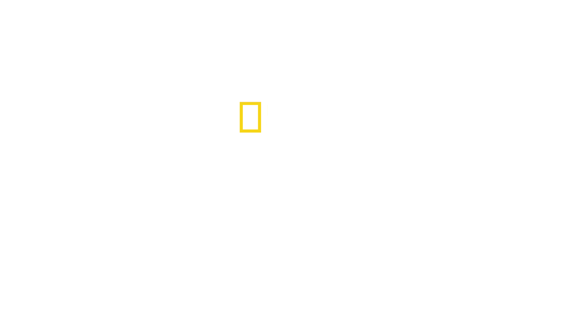 Requin VS Thon