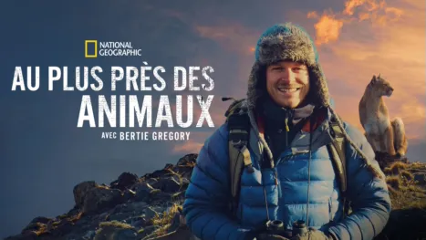 thumbnail - Au plus près des animaux avec Bertie Gregory