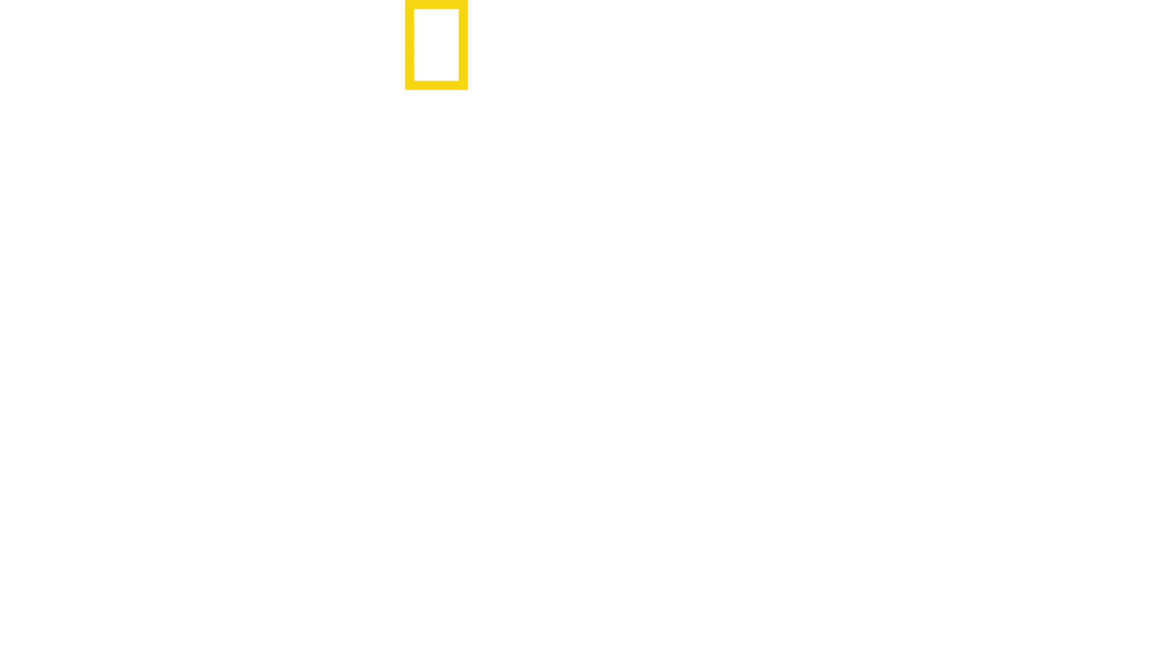 팰컨 헤비: 화성을 향하다
