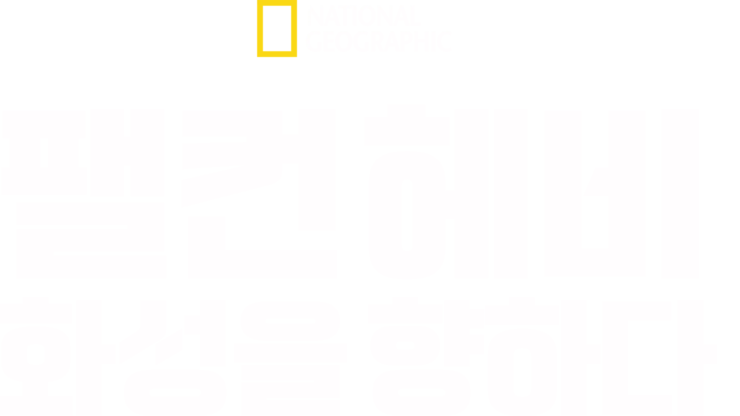 팰컨 헤비: 화성을 향하다