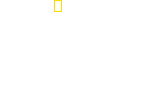팰컨 헤비: 화성을 향하다