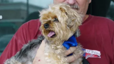 thumbnail - S2:E3 Unusual Suspects