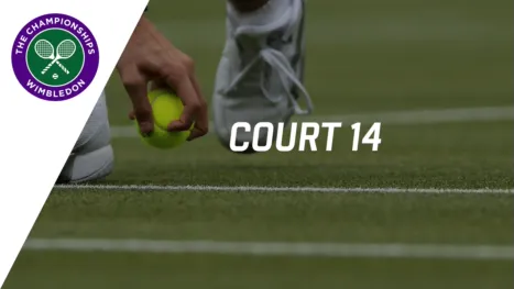 Court 14