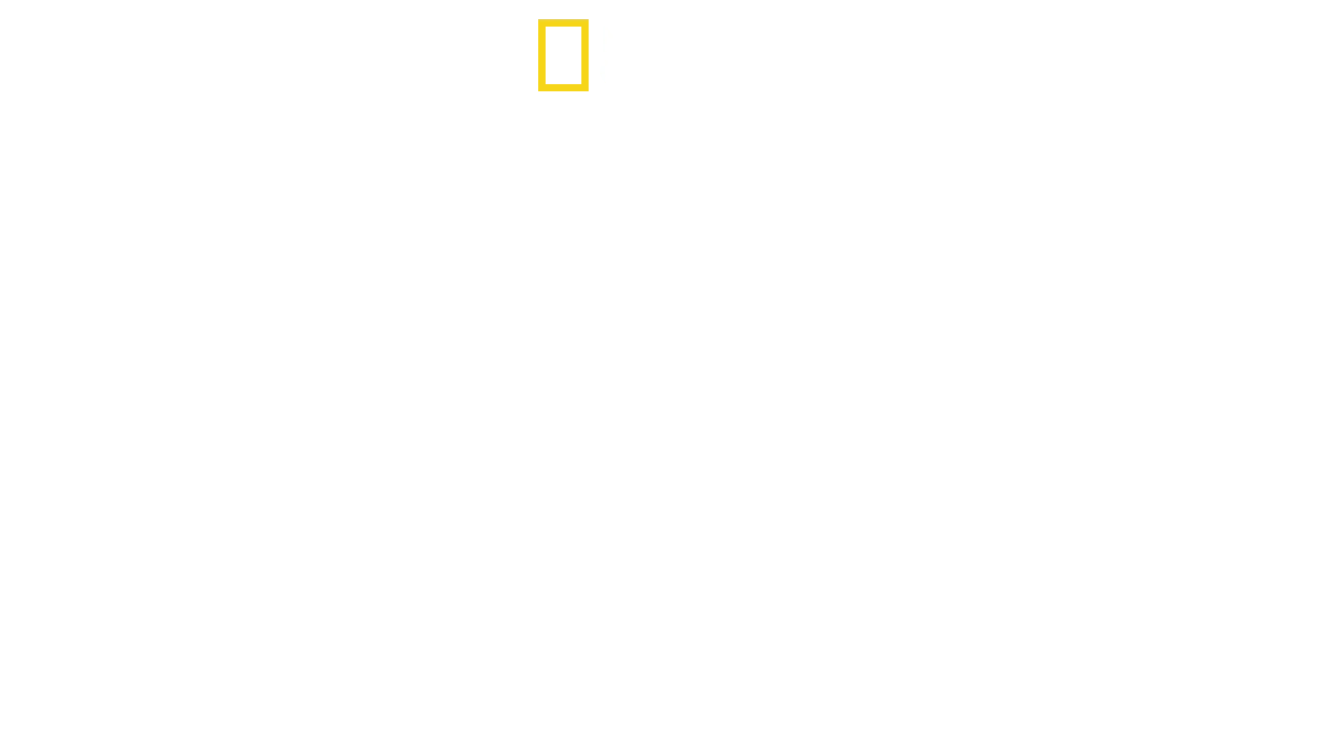 Live Free or Die