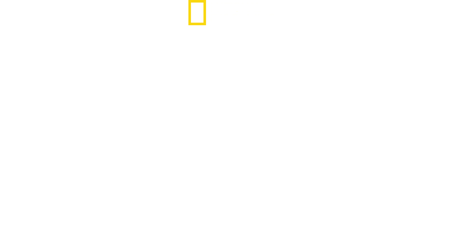 Live Free or Die