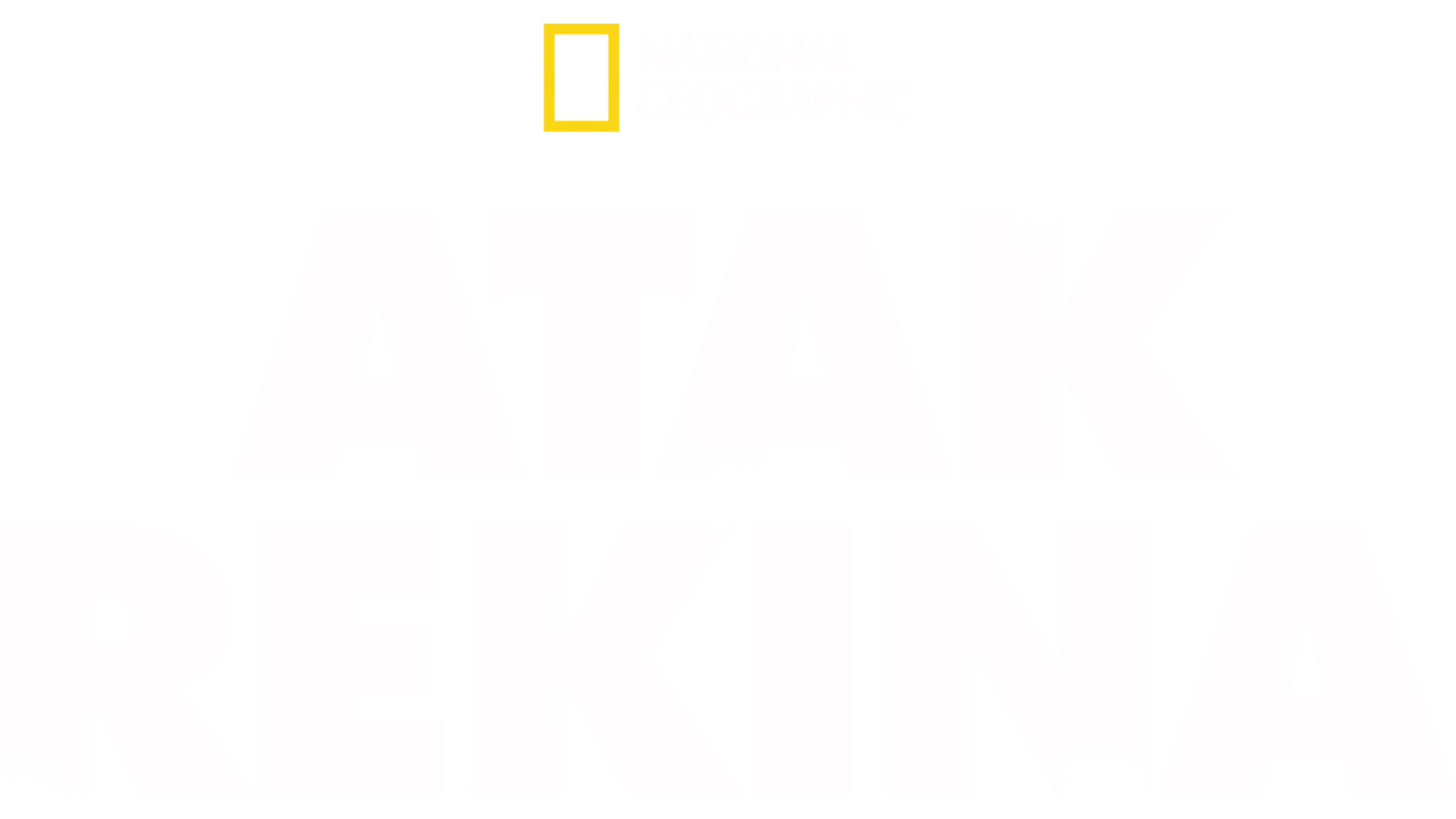Atak rekina