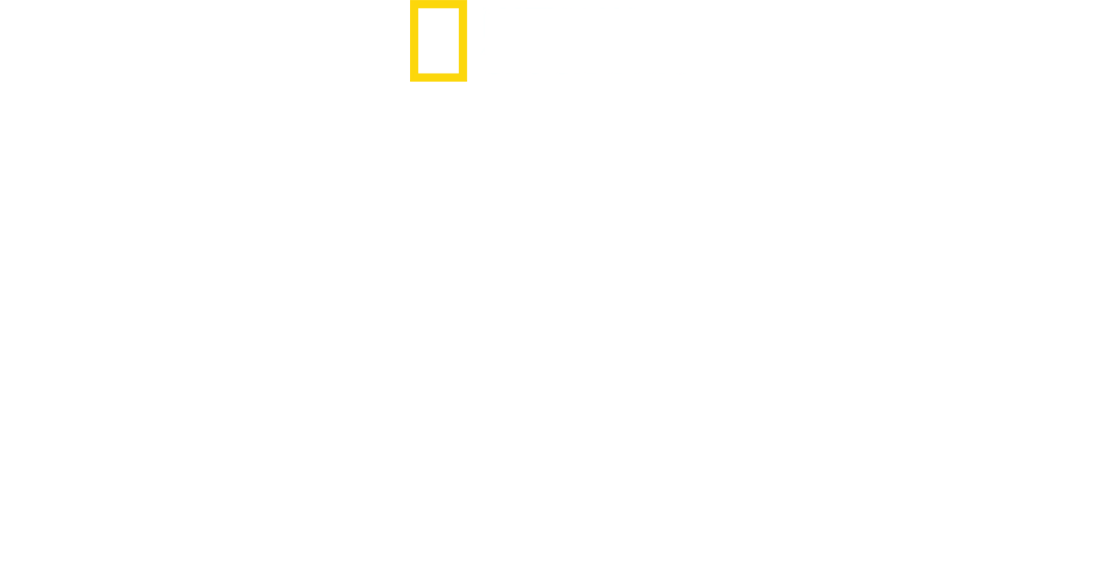 Atak rekina