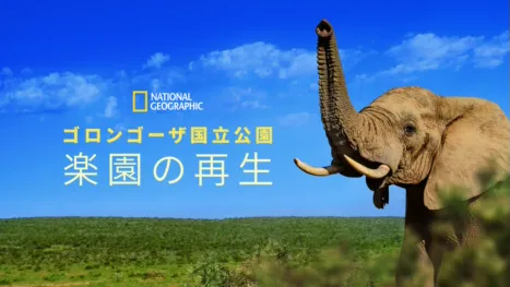 thumbnail - ゴロンゴーザ国立公園 楽園の再生
