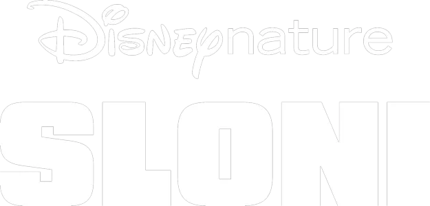 Sloni
