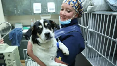 thumbnail - S1:E2 Lights Out