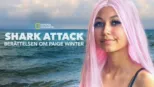 thumbnail - Shark Attack: Berättelsen om Paige Winter