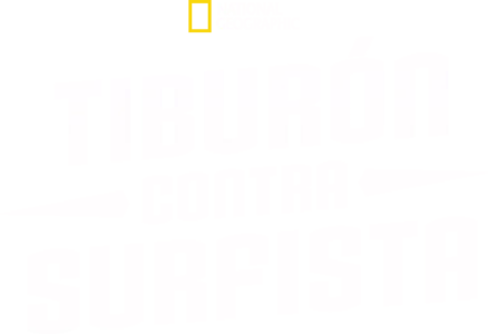 Tiburón contra surfista