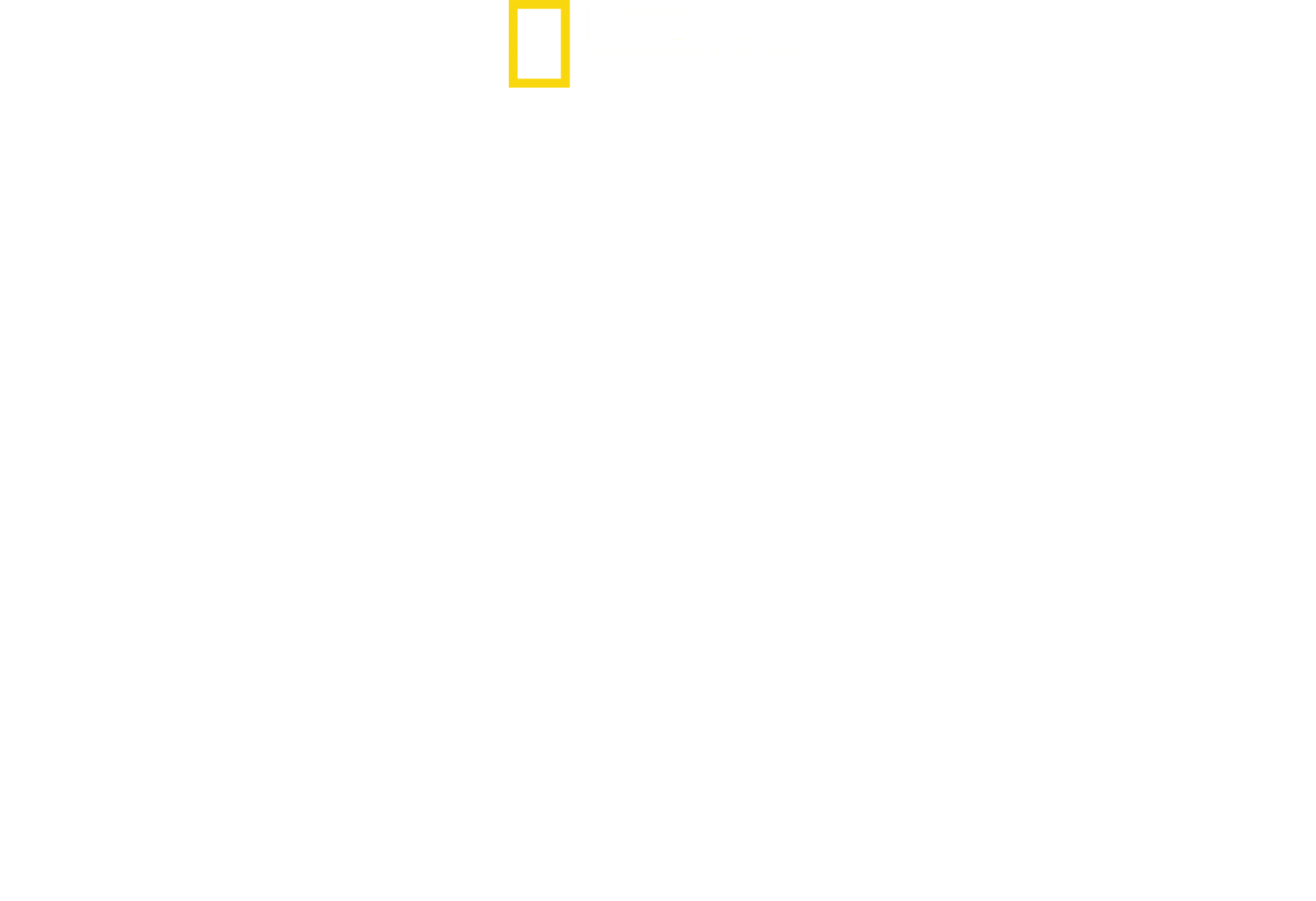 Tiburón contra surfista