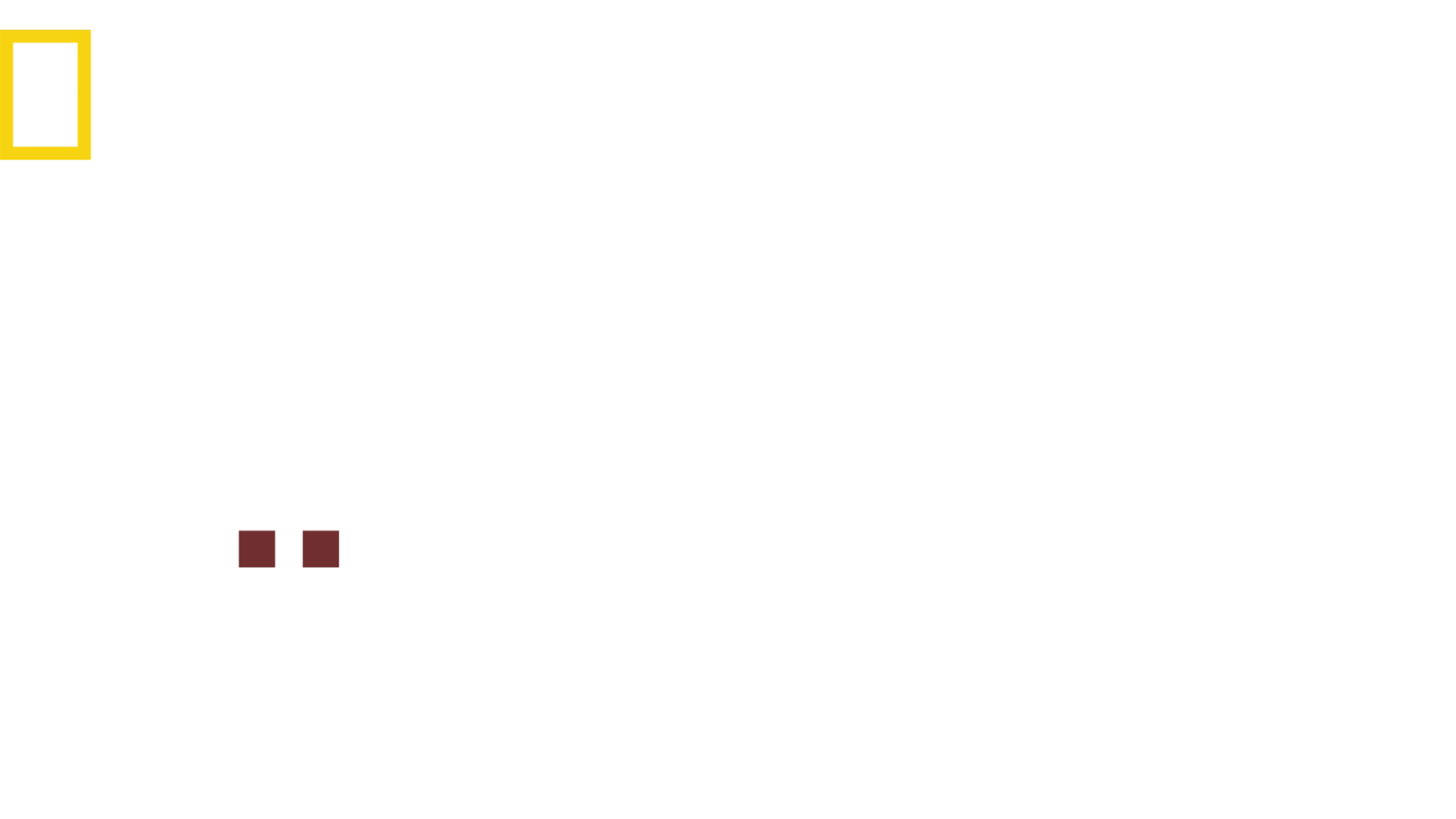 İmkansız Köpekler