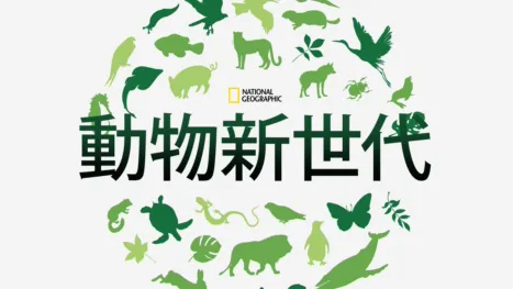 thumbnail - 動物新世代