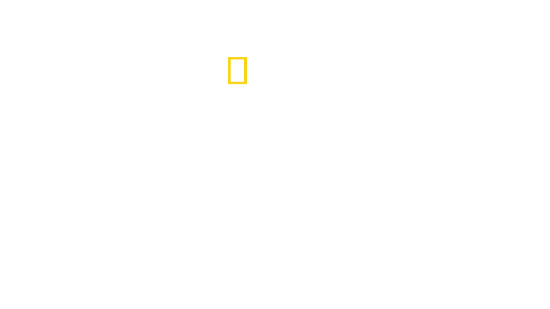 Pieni jättiläinen
