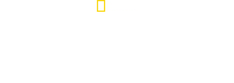 Pieni jättiläinen