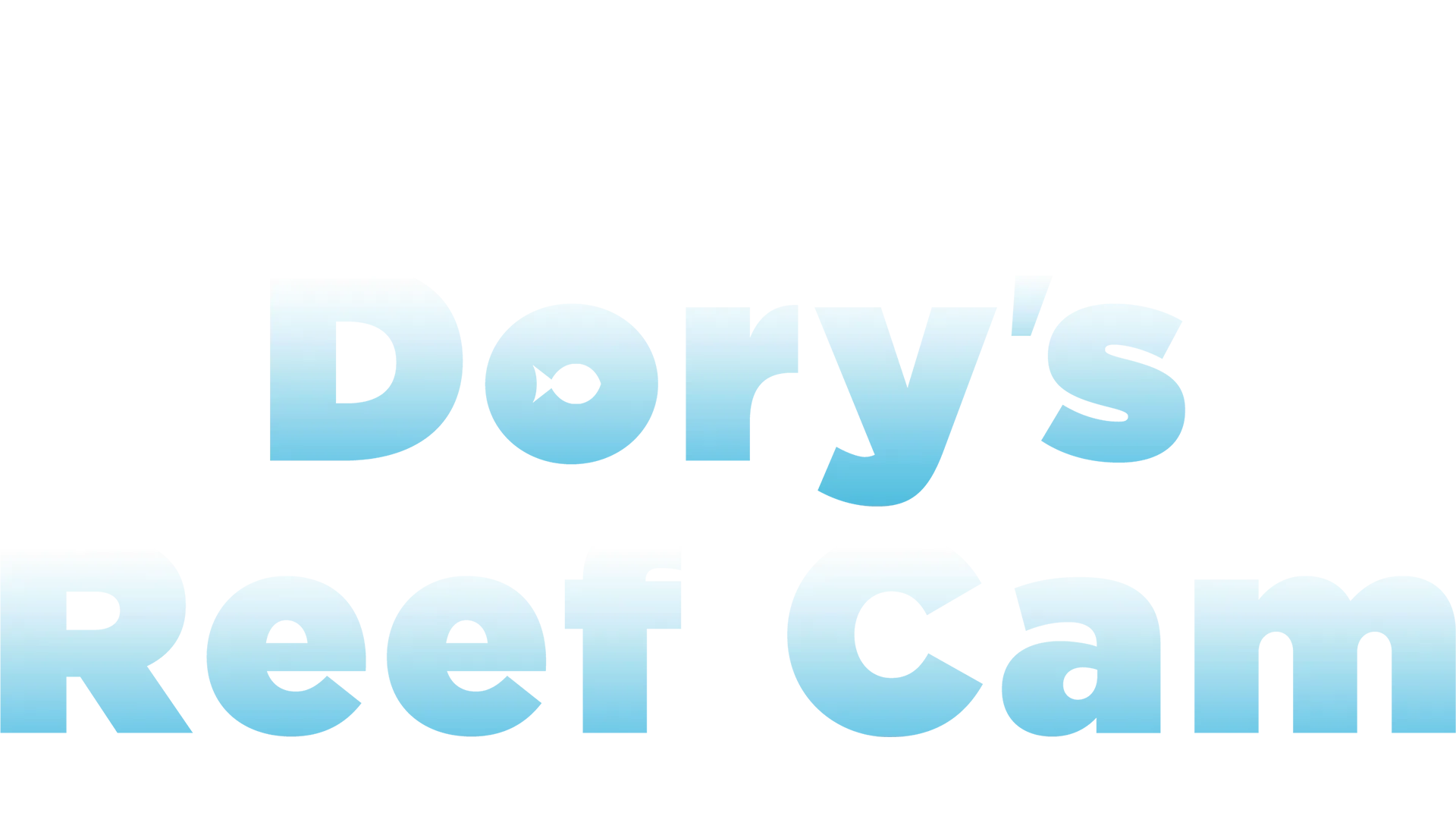 Dory's Reef Cam