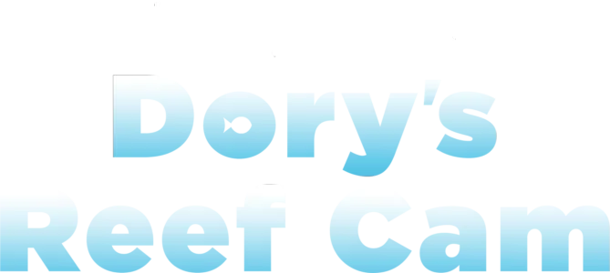 Dory's Reef Cam