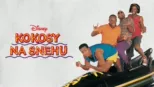 thumbnail - Kokosy na snehu
