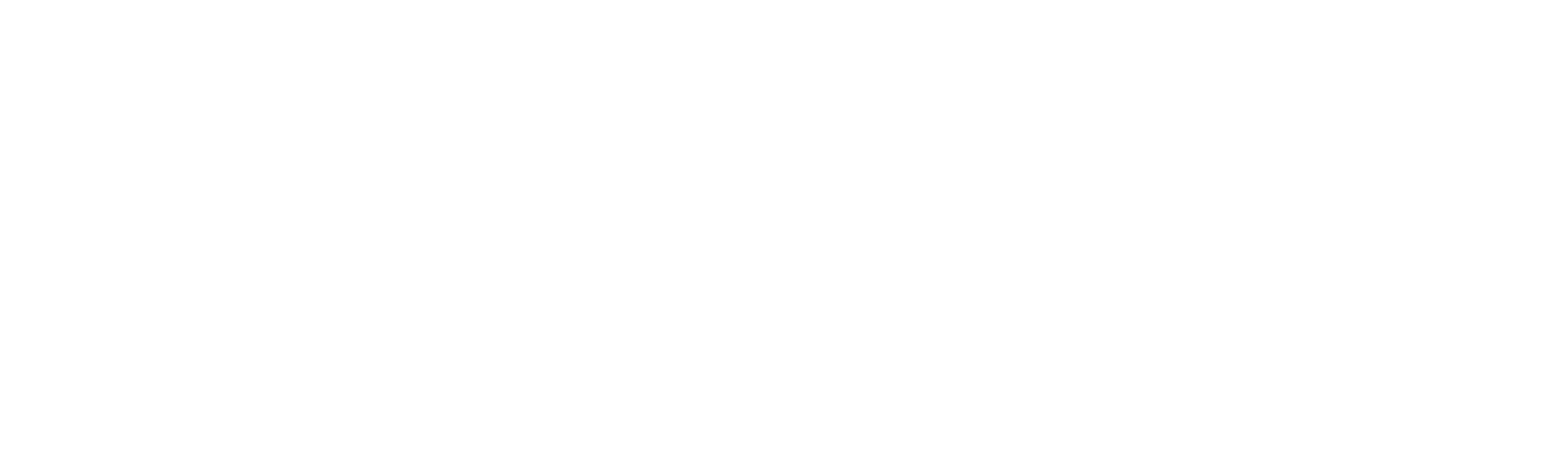 라스트 킹