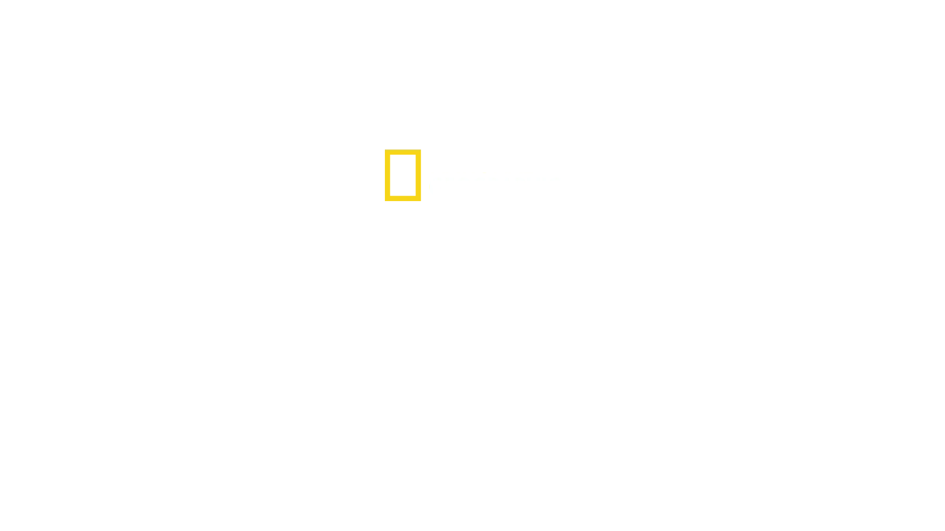Sharkatraz