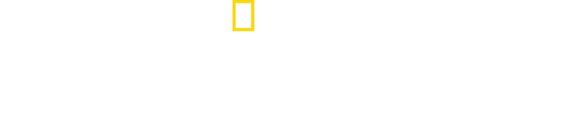 Sharkatraz