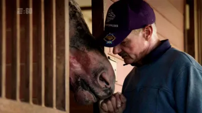 thumbnail - Lovely Finish