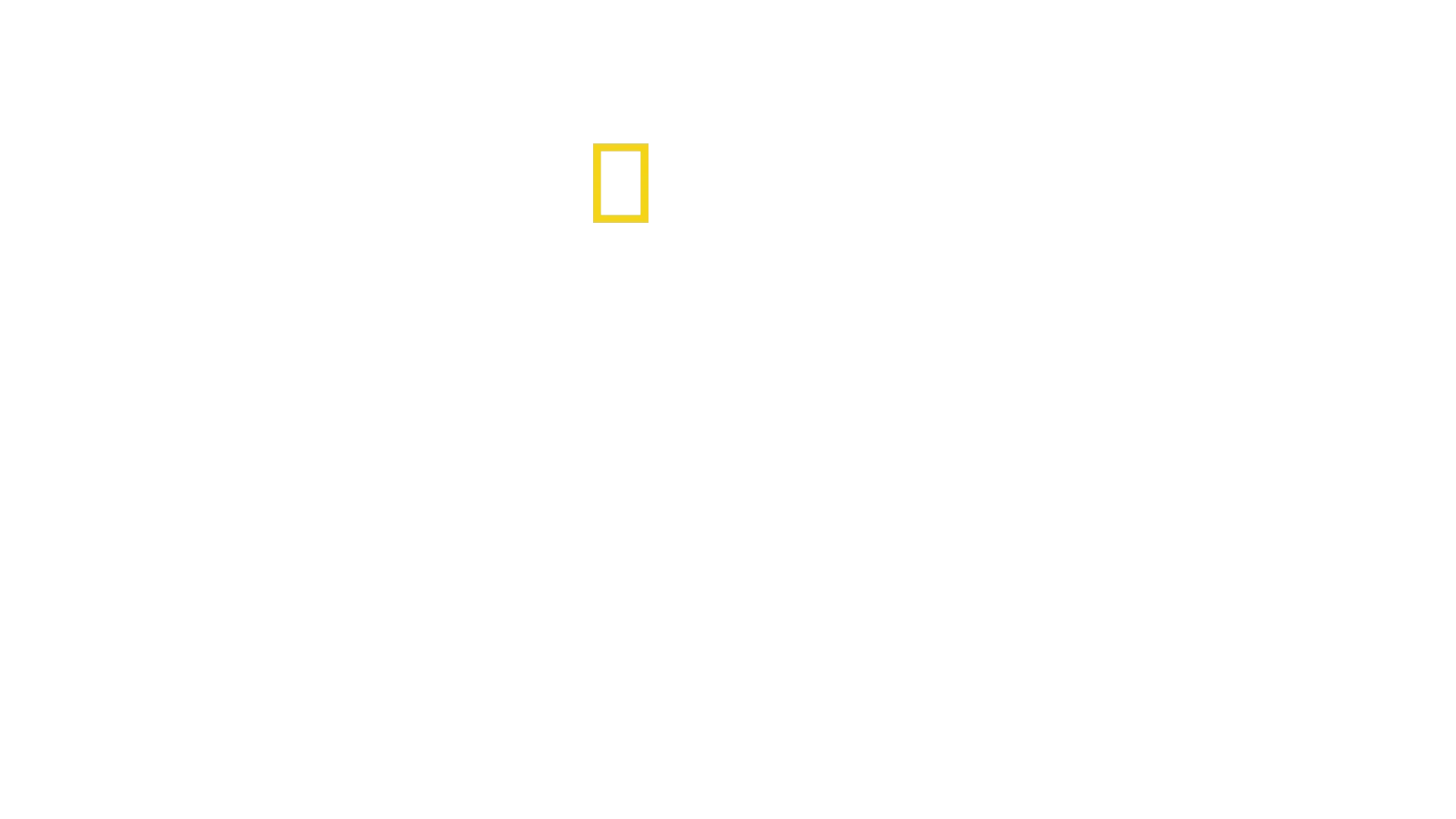 The Cave