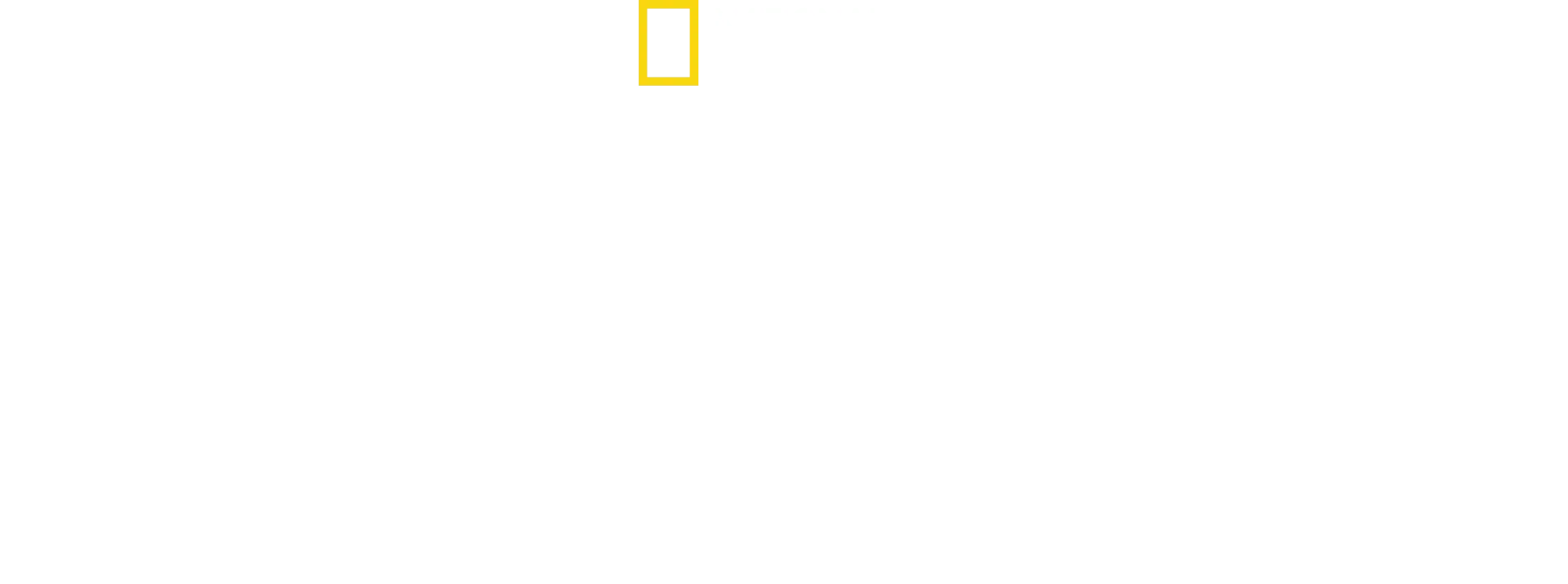 The Cave