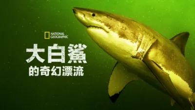 大白鯊的奇幻漂流