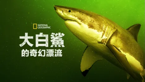 thumbnail - 大白鯊的奇幻漂流