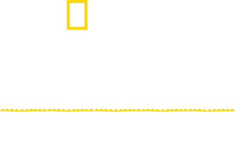 失落古城：蒂卡尔
